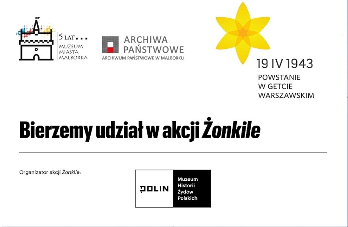 "Akcja Żonkile". Zajęcia dla uczniów klas IV — VIII w Muzeum Miasta Malborka