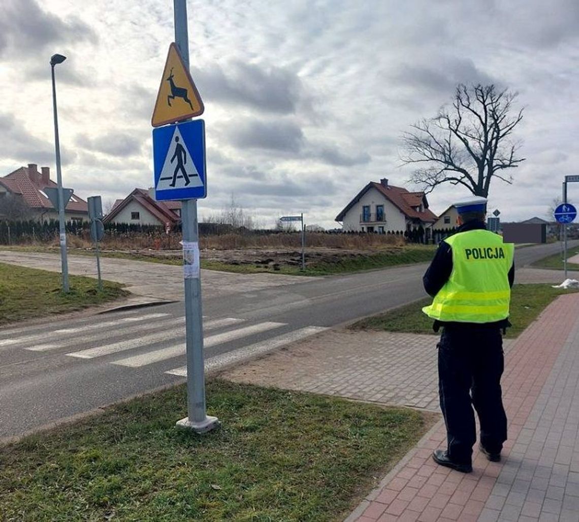 Czwartkowa akcja malborskiej drogówki „BEZPIECZNY  PIESZY”.