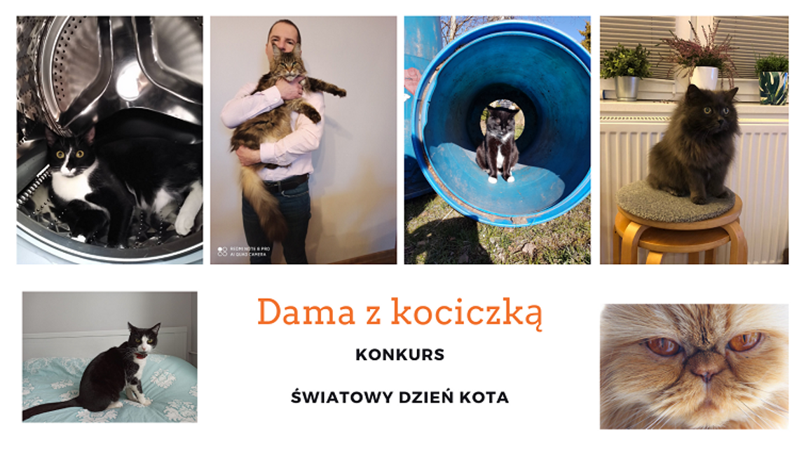 Dama z kociczką. Konkurs fotograficzny z okazji Światowego Dnia Kota