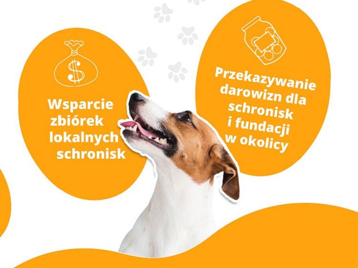 Fundacja Zoodoptuj.pl w Malborskim Stowarzyszeniu Przyjaciół Zwierząt REKS