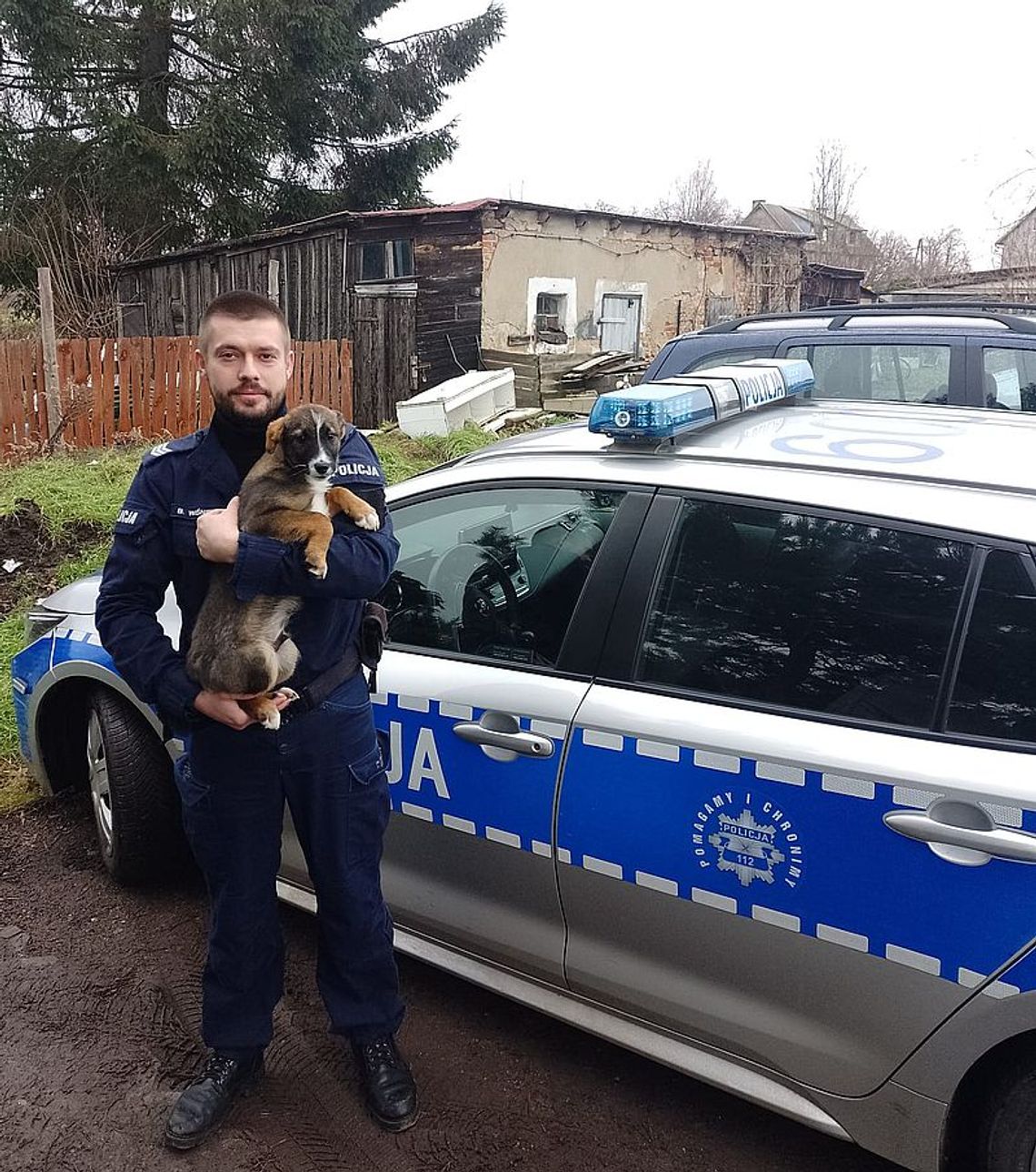 Gmina Nowy Staw. Policjant przygarnął porzuconego psa