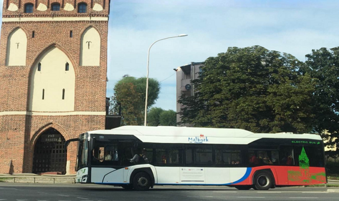 Malbork. Będą dodatkowe połączenia autobusów w okresie Wszystkich Świętych.