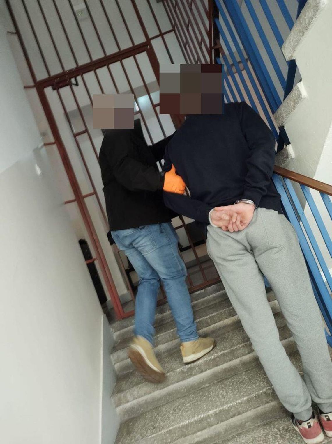 Malbork. Kryminalni zatrzymali 34-letniego sprawcę kradzieży i kradzieży z włamaniem.