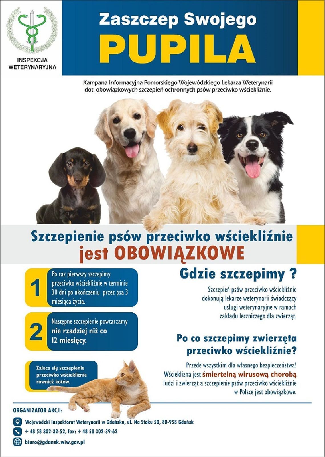 Malbork. Pamiętajmy o obowiązkowych szczepieniach ochronnych psów i kotów przeciwko wściekliźnie.