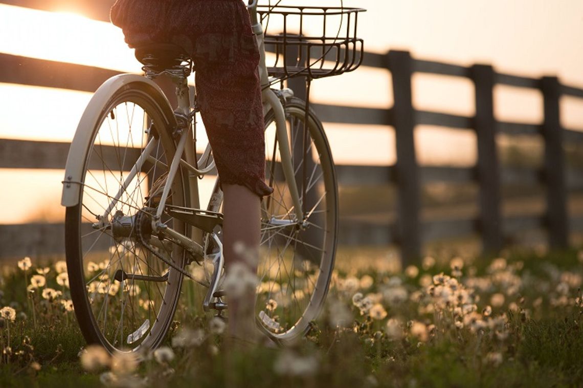 Malbork: Ruszyła zbiórka dla podopiecznych Słonecznego Południa - chodzi o zakup rowerów
