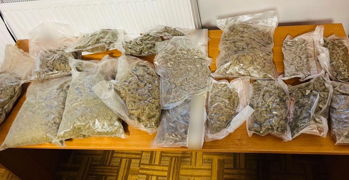 Malborscy kryminalni zabezpieczyli ponad 3 kilogramy suszu roślinnego.