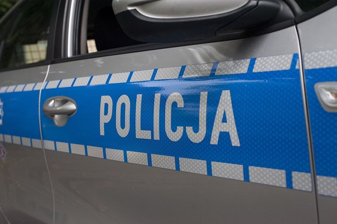 Malborscy kryminalni zatrzymali 28-latka za posiadanie narkotyków.