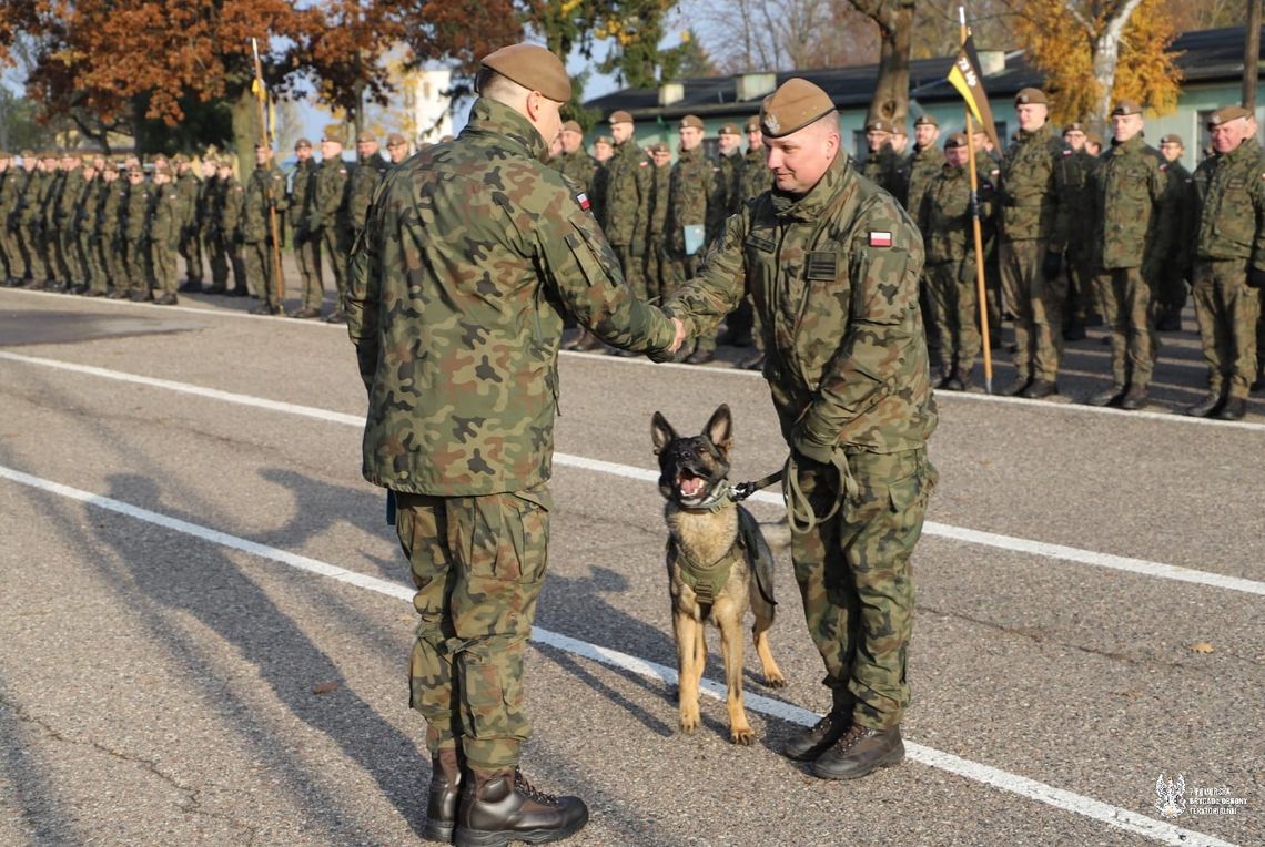 Nietypowy awans u pomorskich Terytorialsów