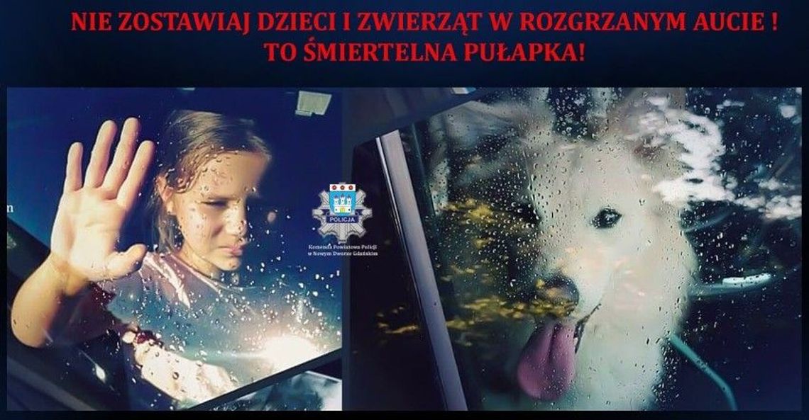 Nowodworscy policjanci apelują: nie zostawiaj dzieci i zwierząt w rozgrzanym aucie! To śmiertelna pułapka!