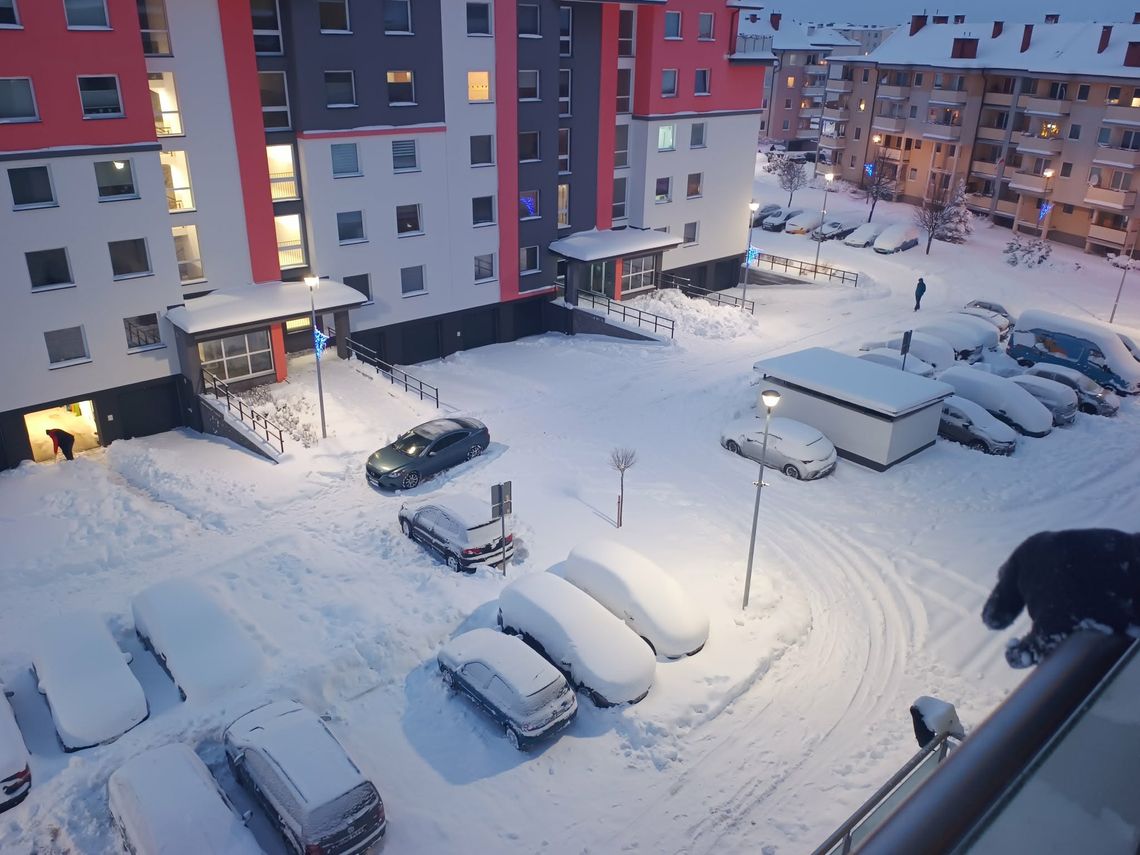 🎧Posłuchaj: Odśnieżanie na barkach mieszkańców. Chaos przy budynkach MTBS. 🎧Posłuchaj: Odśnieżanie na barkach mieszkańców. Chaos przy budynkach MTBS.