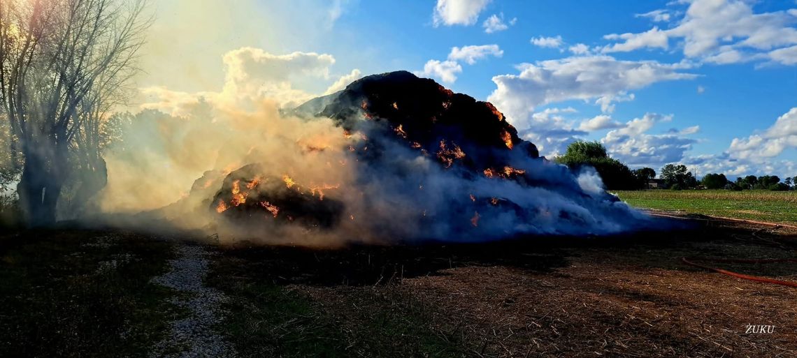 Policjanci z Komisariatu Policji w Nowym Stawie ustalili sprawców podpalenia w Pordenowie.