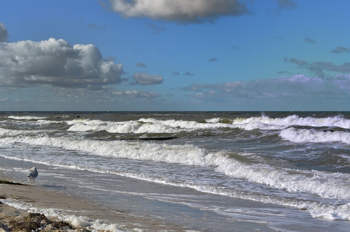 "Ponad połowa Polaków dostrzega problem zanieczyszczenia plaż i wód Bałtyku"