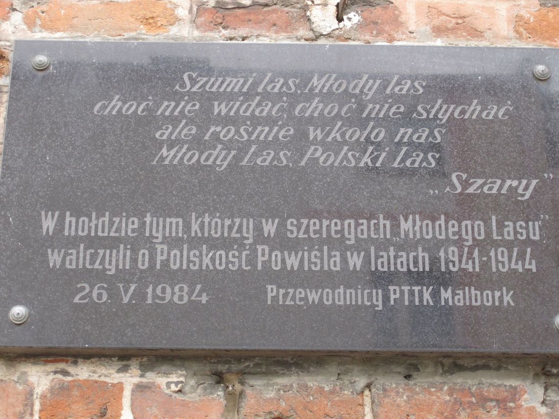🎧Posłuchaj: 85 lat „Młodego Lasu”. Wystawa i publikacja upamiętnią niezwykłą historię w Malborku.