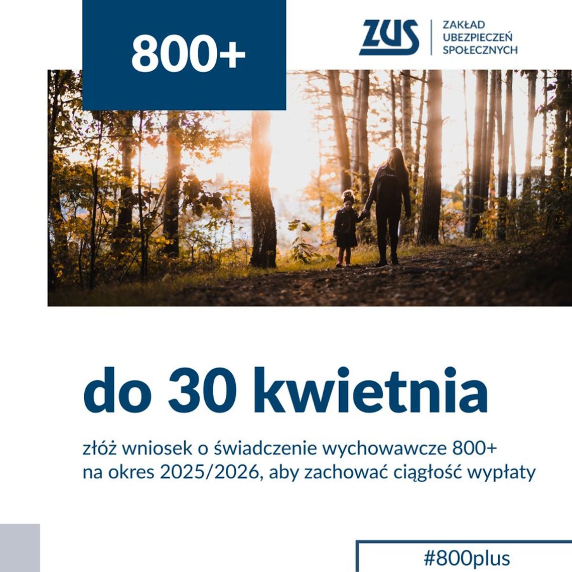 🎧Posłuchaj:  Chcesz dostawać „800 plus” bez przerwy? Złóż wniosek do końca kwietnia.