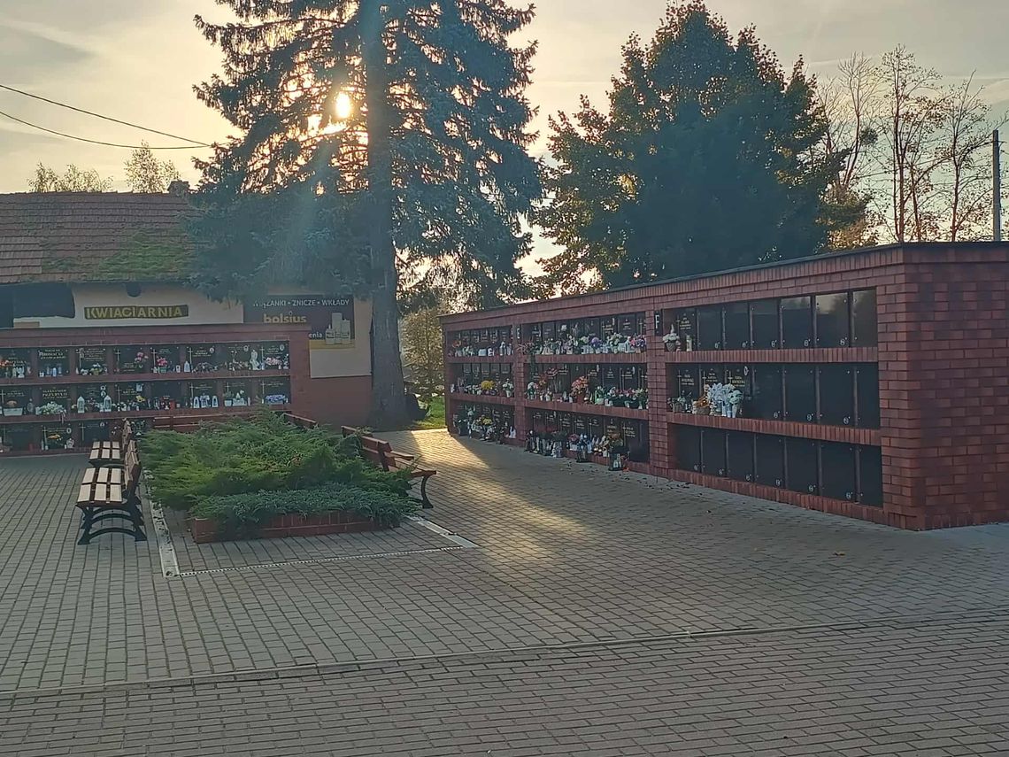 🎧Posłuchaj: Przygotowania do święta Wszystkich Świętych na Cmentarzu Komunalnym w Malborku