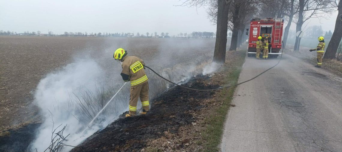 🎧Posłuchaj: Trwa kampania straży pożarnej „Stop Pożarom Traw”.