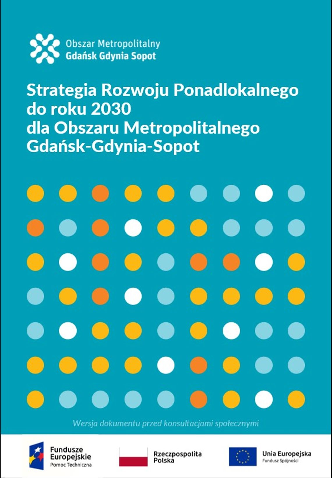 Powiat malborski. Przyszłość metropolii. Twój głos jest ważny!