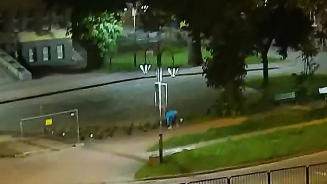 Róże z placu Słowiańskiego zniknęły nocą – teren był monitorowany.