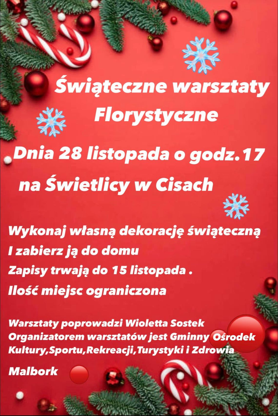 Świąteczne warsztaty florystyczne w Cisach.