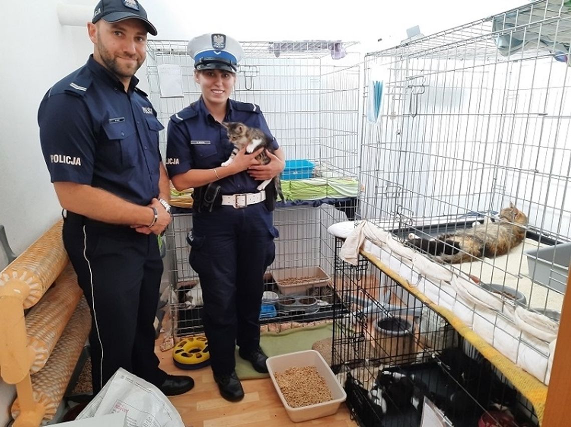 Sztumscy policjanci w wyjątkowej zbiórce dla zwierząt