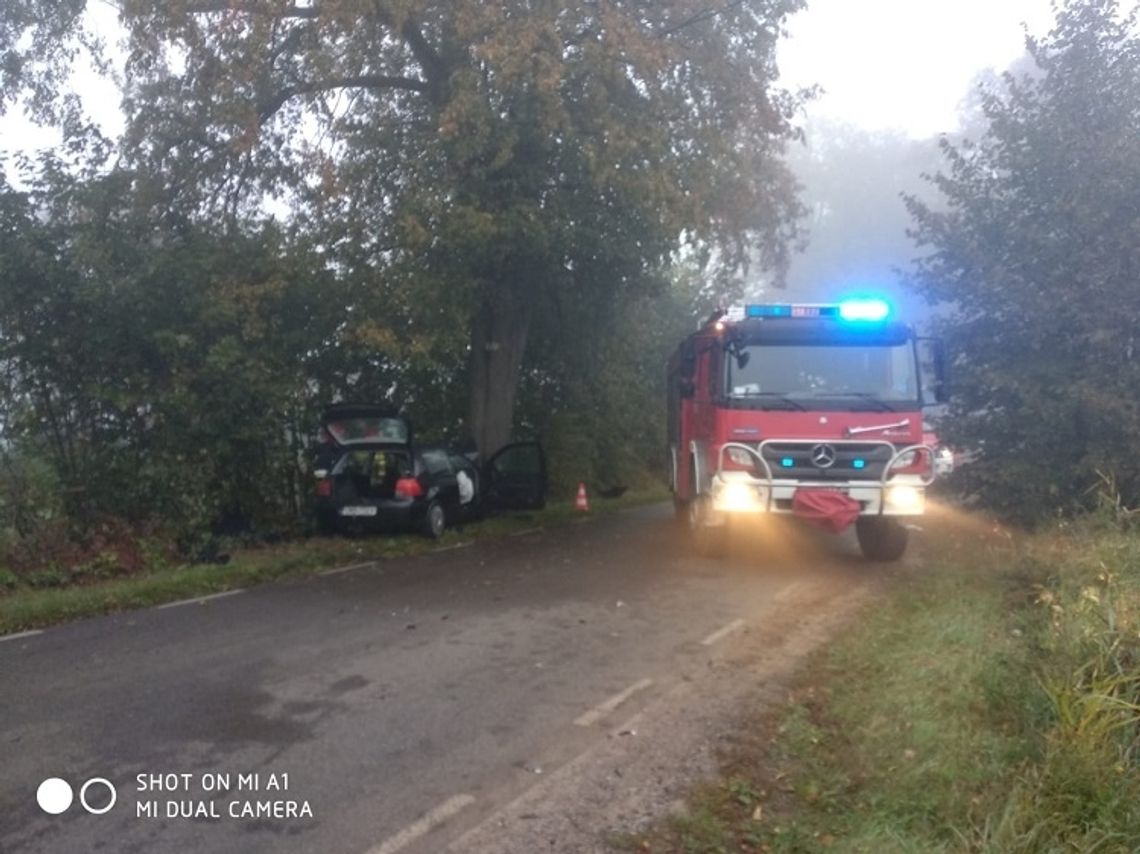 Tragiczny wypadek na trasie Lisewo Malborskie - Stara Wisła