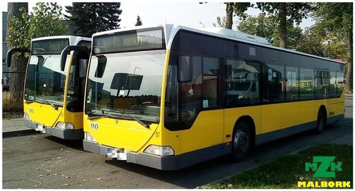 Uprawnienia do bezpłatnych przejazdów autobusami miejskimi w Malborku.