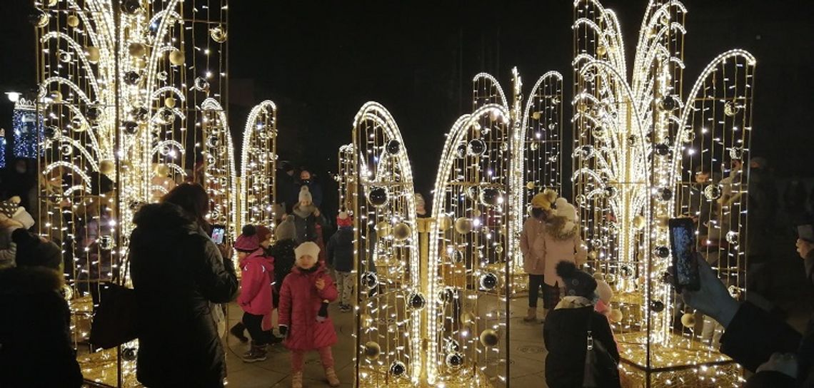 W centrum Malborka można podziwiać nowe iluminacje i miejską choinkę