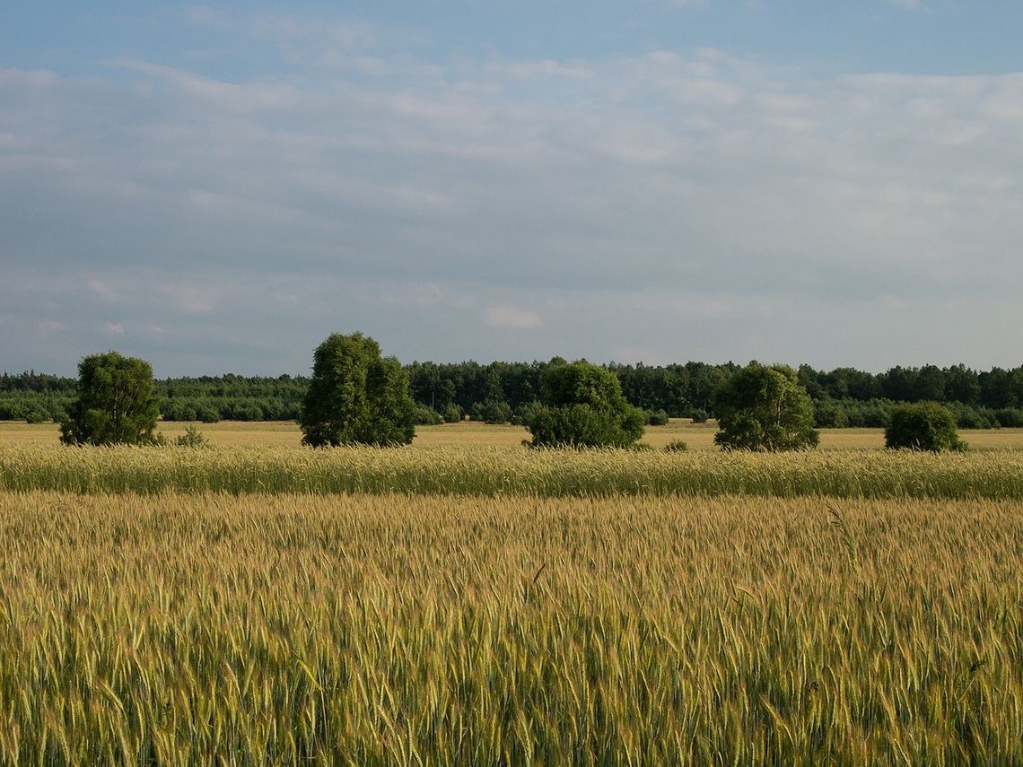 W poniedziałek poznamy najpiękniejszą wieś i zagrodę Pomorza.