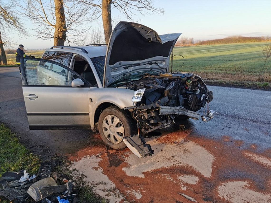 Wypadek w Tralewie. VW Passat uderzył w drzewo