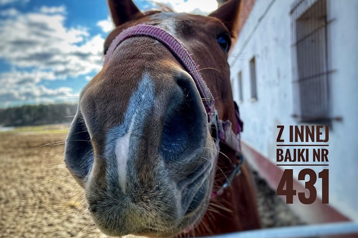 Z INNEJ BAJKI nr 431 już w najbliższy wtorek!
