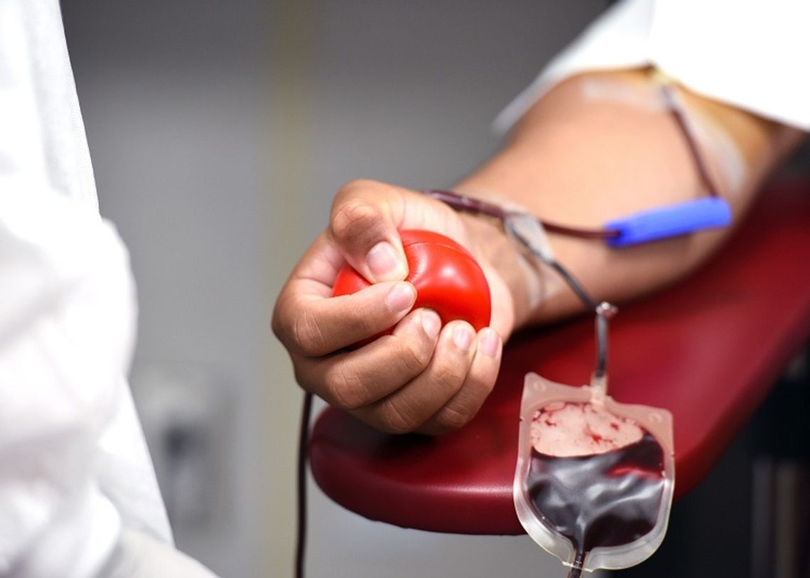 Zobacz, gdzie pojawi się ambulans do poboru krwi w Malborku.