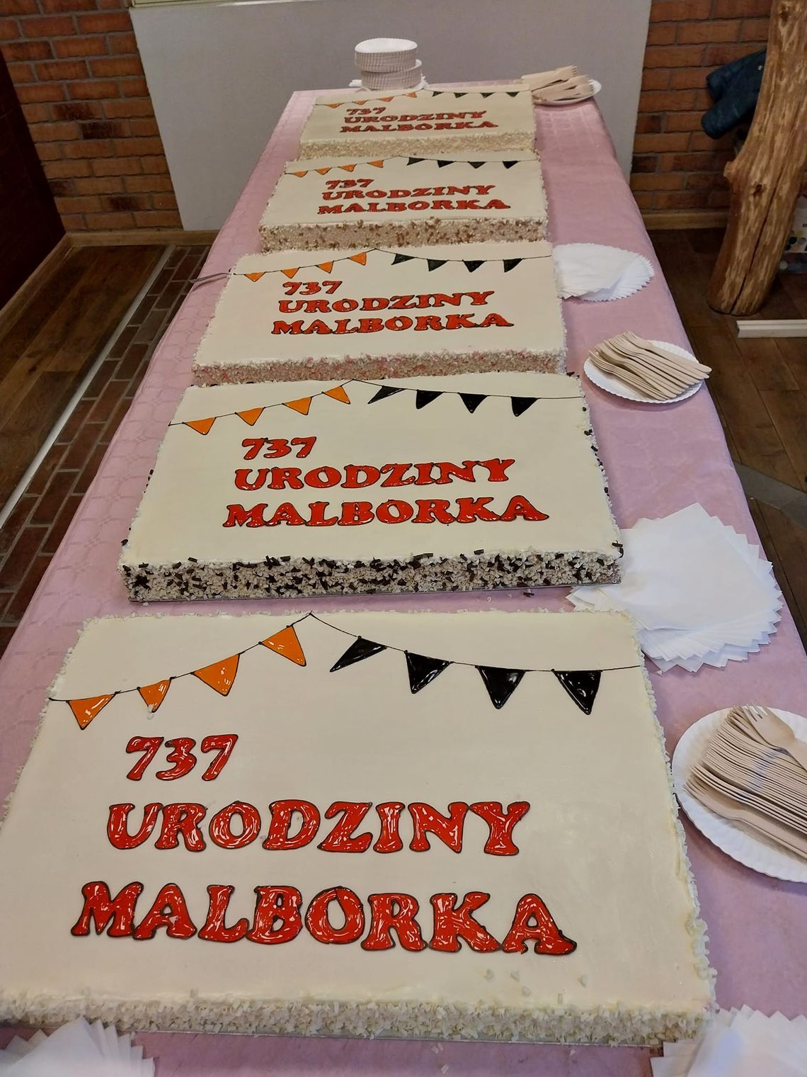 Zobacz jak mieszkańcy Malborka obchodzili 737. urodziny miasta.