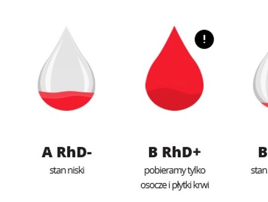 fot. RCKiK Gdańsk/82-200.pl